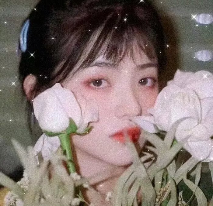 网上怪谈之凶灵对话